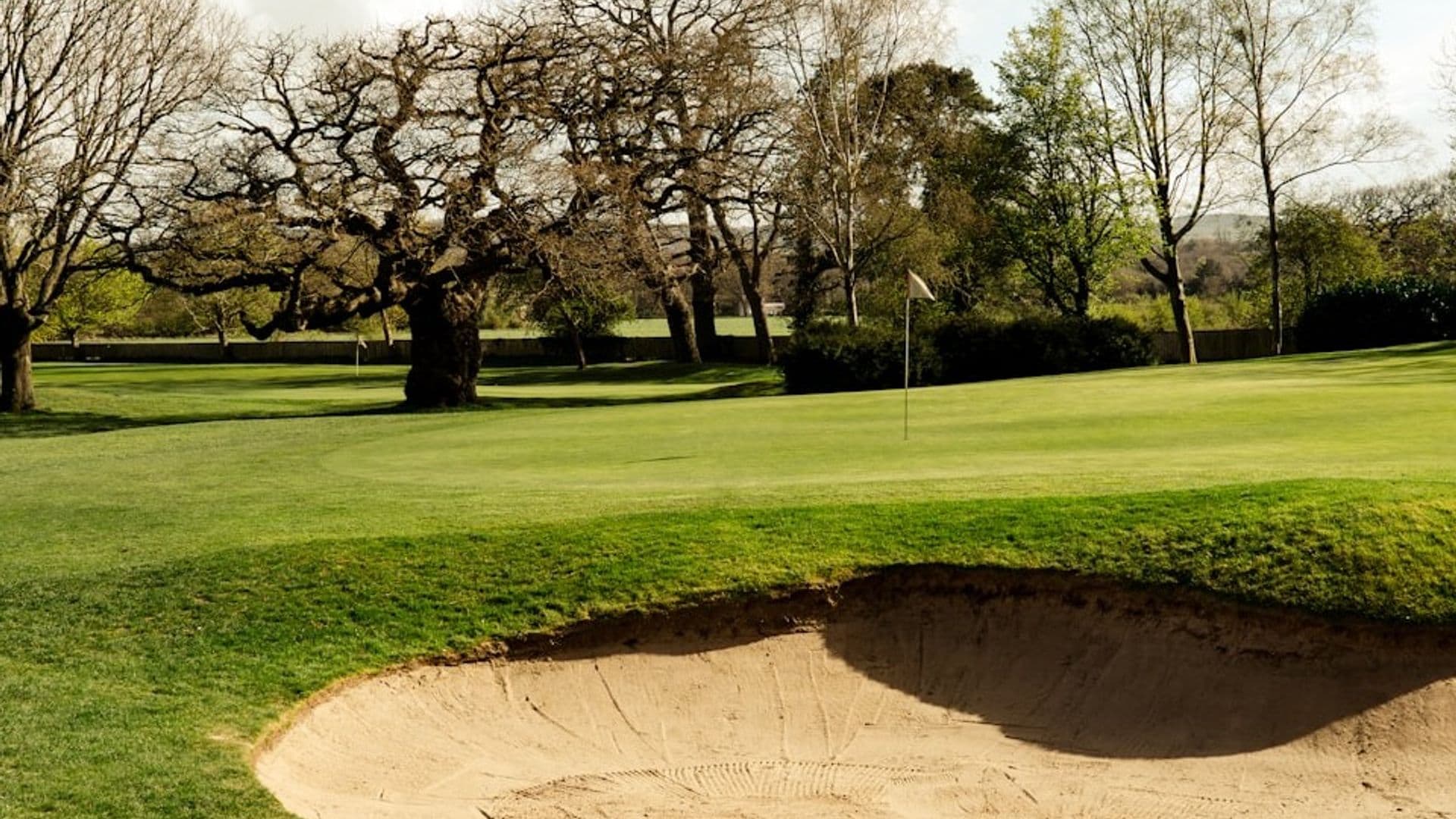 Course Cover Photo